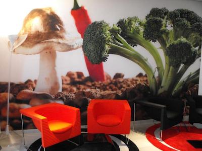 یورواستارز رمبلس بوکریا