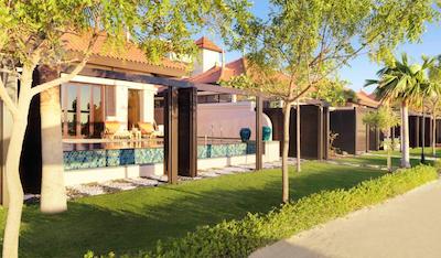 آنانترا د پالم دبی یزوررت