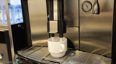 هتل سیتی گاردن آمستردام