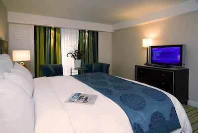 رنسانس آمستردام