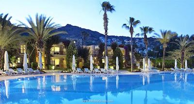 دیوان بدورم پالمیرا