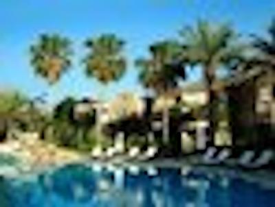 دیوان بدورم پالمیرا