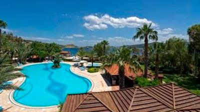 دیوان بدورم پالمیرا