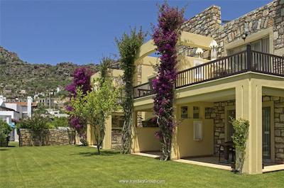 دیوان بدورم پالمیرا