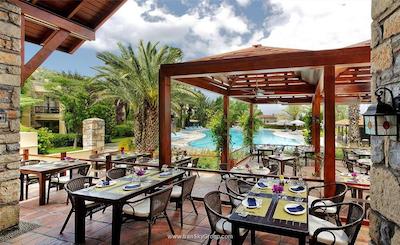 دیوان بدورم پالمیرا