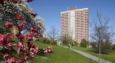 ای اند او پراگ رهی