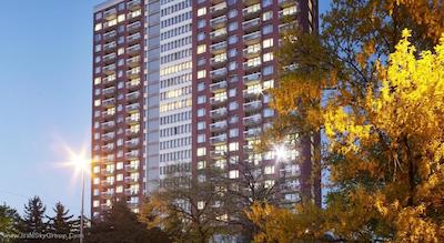 ای اند او پراگ رهی