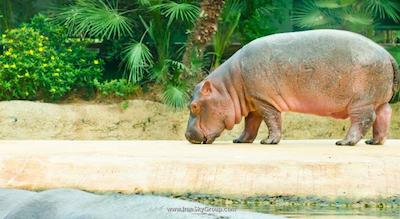 سوفیتل برلین کورفورستندام