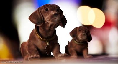 پنتاهتل پراگ