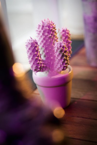 پنتاهتل پراگ