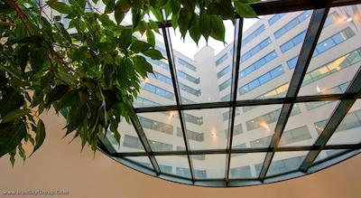 ویتوشا پارک