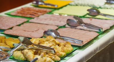 ویتوشا پارک