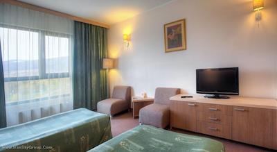 ویتوشا پارک