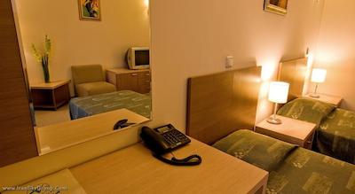 ویتوشا پارک