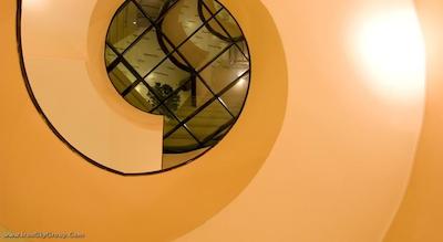 ویتوشا پارک