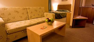 ویتوشا پارک