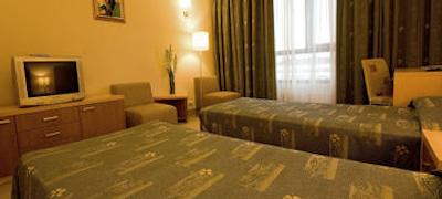 ویتوشا پارک