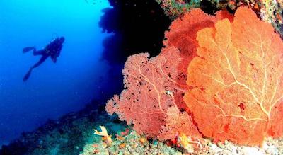 آنانتارا ولی مالدیوز ریزورت