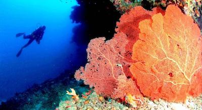 آنانتارا ولی مالدیوز ریزورت