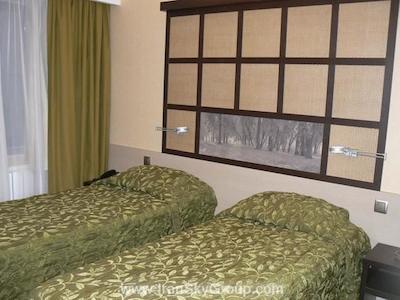 ایرهتل دوموددوو