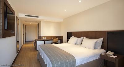 ویندزور پالاس