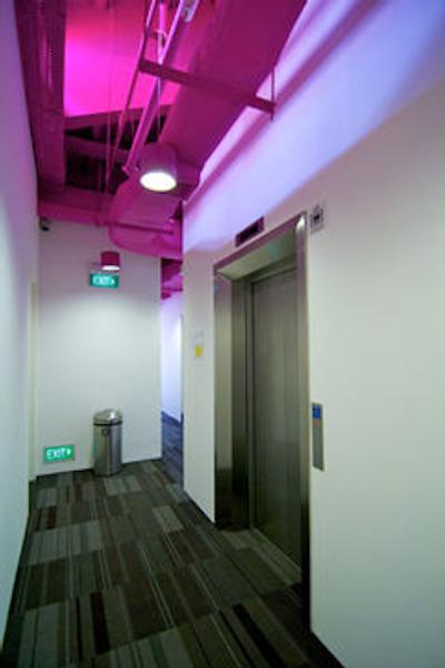 بونک رادیوس لیتل ایندی