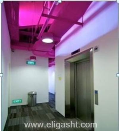 بونک رادیوس لیتل ایندی