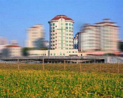 روبرتسون کوای