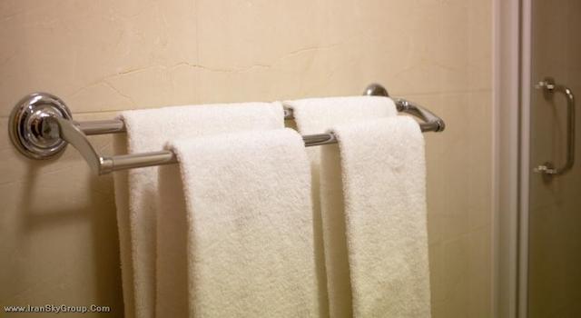 بست وسترن هتل فلیکس