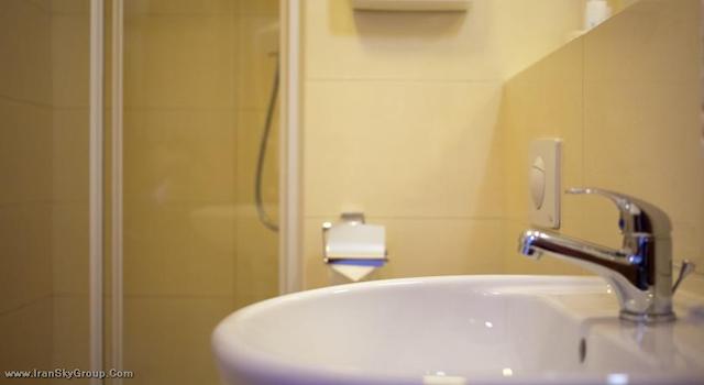 بست وسترن هتل فلیکس