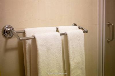 بست وسترن هتل فلیکس