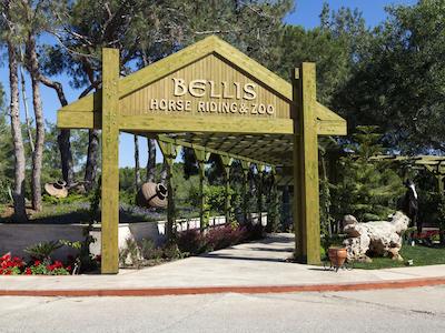 بلیس دلوکس هتل