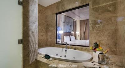 بلیس دلوکس هتل