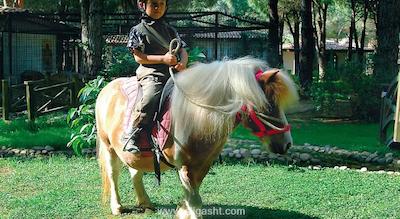 بلیس دلوکس هتل