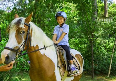 بلیس دلوکس هتل