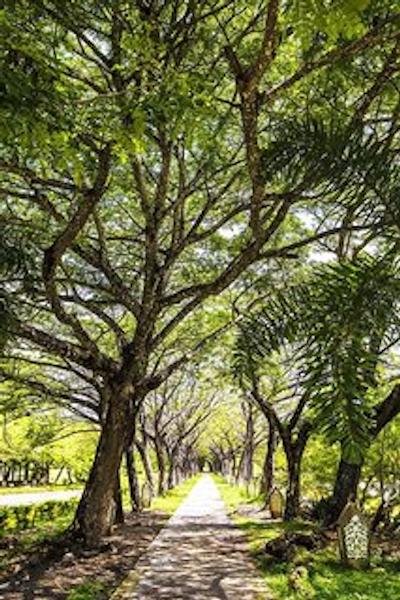 د وستین لنکاوی ریزورت اند اسپا