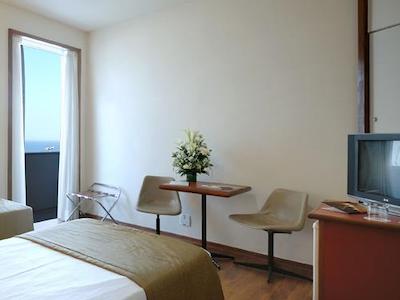 تولیپ این کوپاکابانا