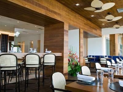 تولیپ این کوپاکابانا