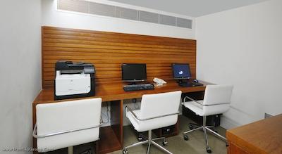 تولیپ این کوپاکابانا