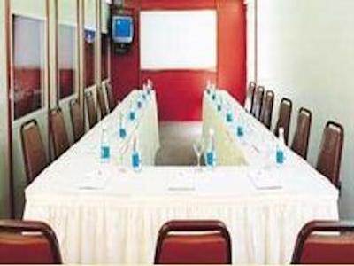 تولیپ این کوپاکابانا