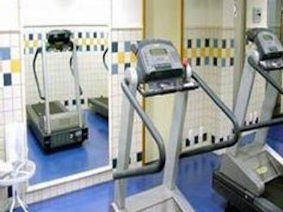 تولیپ این کوپاکابانا