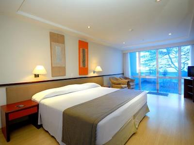 تولیپ این کوپاکابانا