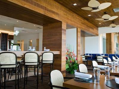 تولیپ این کوپاکابانا