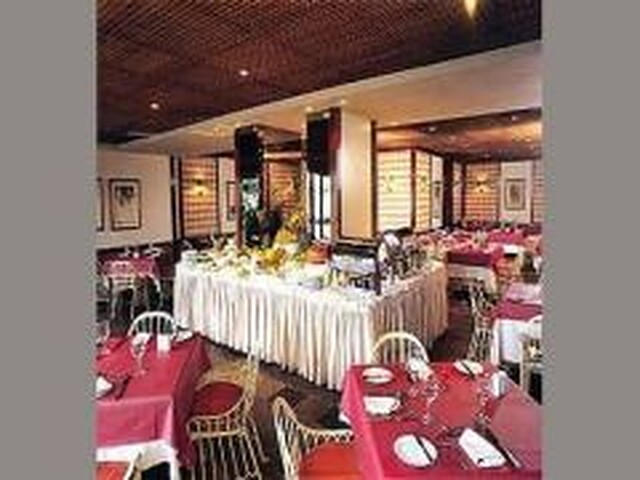 تولیپ این کوپاکابانا