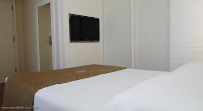 تولیپ این کوپاکابانا