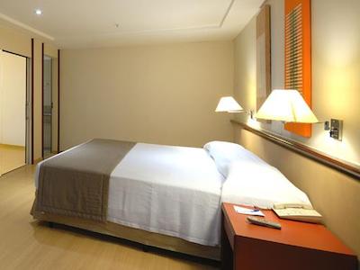 تولیپ این کوپاکابانا