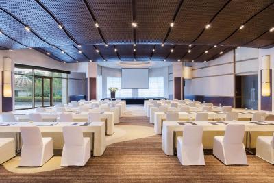 حیات آن د باند