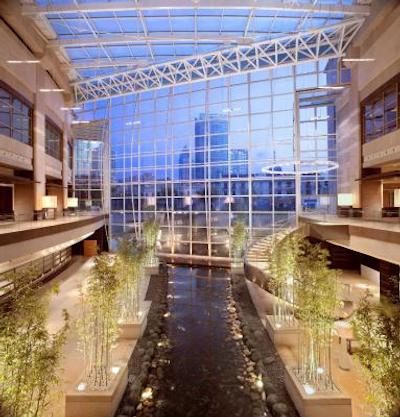 حیات آن د باند