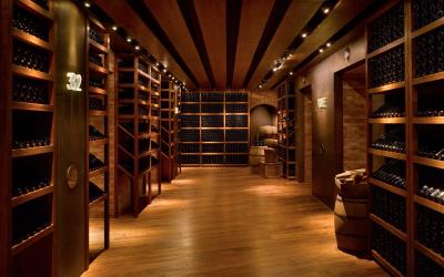 حیات آن د باند