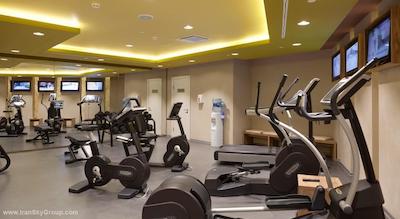 آیبیس مسکو سنتر بخروشینا